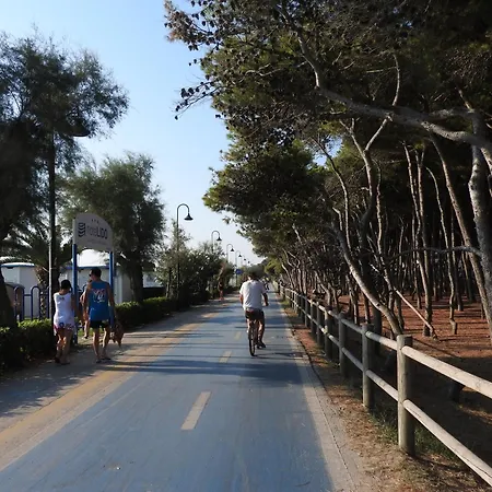 Lido Hotel Alba Adriatica